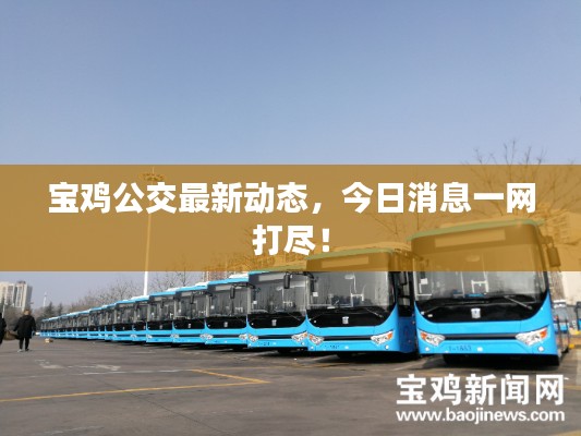 宝鸡公交最新动态，今日消息一网打尽！