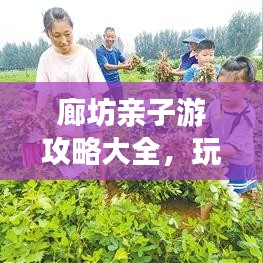 廊坊亲子游攻略大全，玩转廊坊，孩子的快乐天堂！