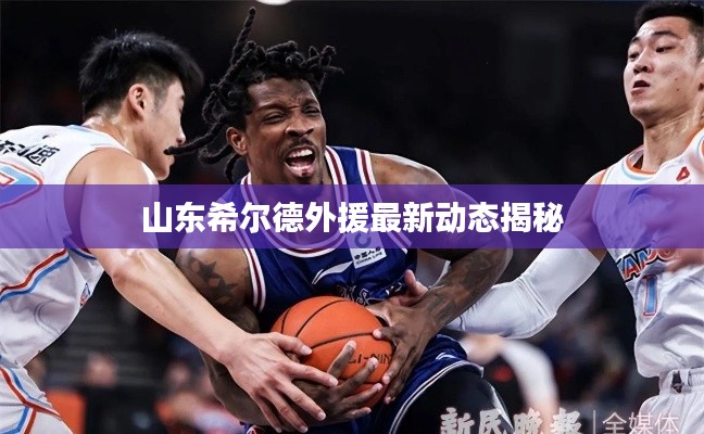 山东希尔德外援最新动态揭秘