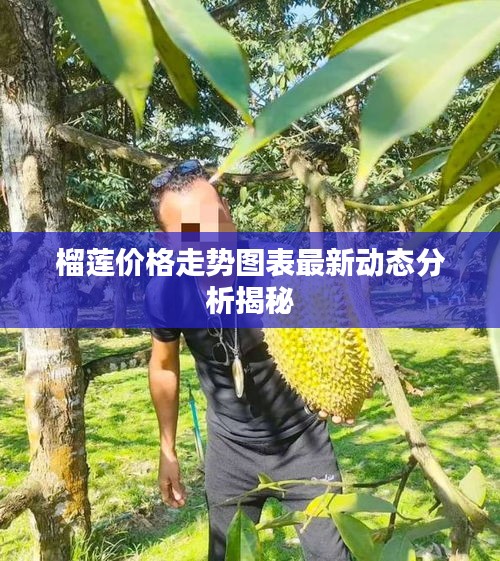 榴莲价格走势图表最新动态分析揭秘
