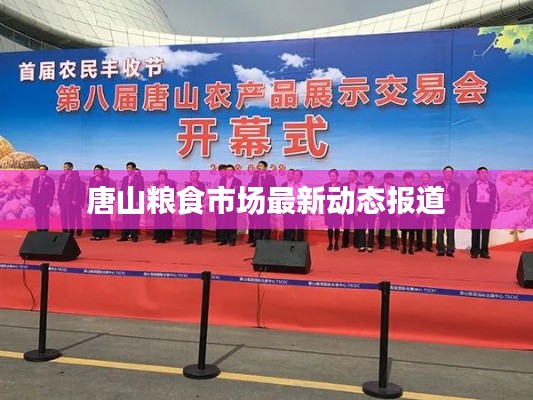 唐山粮食市场最新动态报道