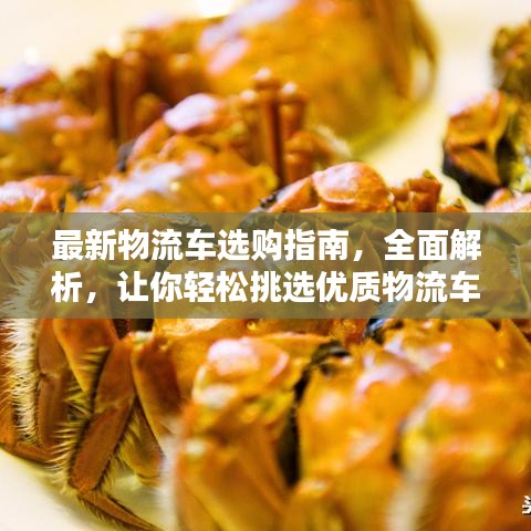 最新物流车选购指南，全面解析，让你轻松挑选优质物流车！