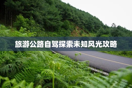 旅游公路自驾探索未知风光攻略