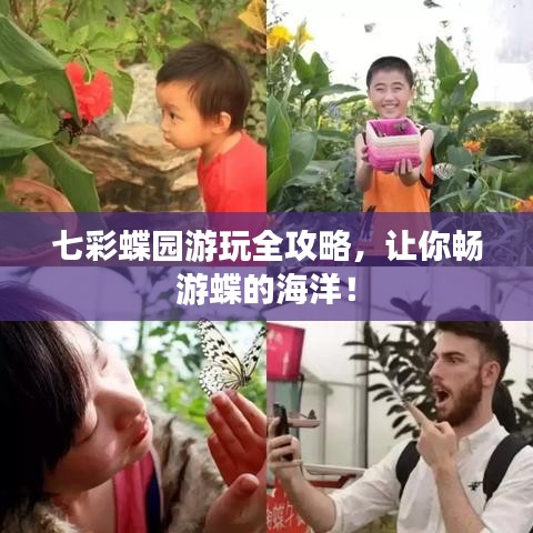 七彩蝶园游玩全攻略，让你畅游蝶的海洋！