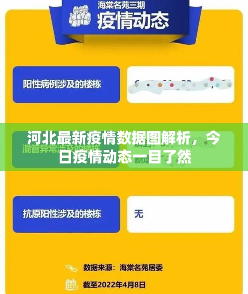 河北最新疫情数据图解析，今日疫情动态一目了然