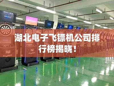 湖北电子飞镖机公司排行榜揭晓！