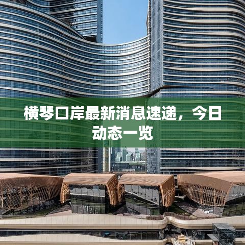 横琴口岸最新消息速递，今日动态一览