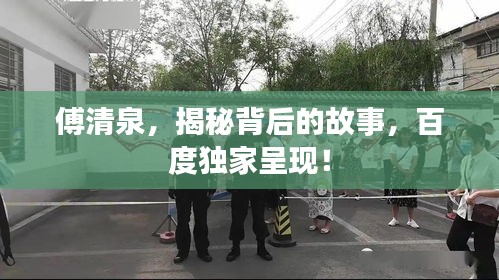 傅清泉，揭秘背后的故事，百度独家呈现！