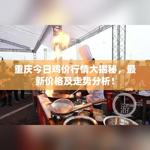 重庆今日鸡价行情大揭秘，最新价格及走势分析！