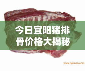 今日宜阳猪排骨价格大揭秘！