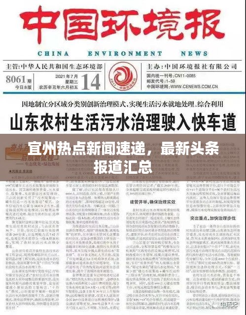 宜州热点新闻速递，最新头条报道汇总