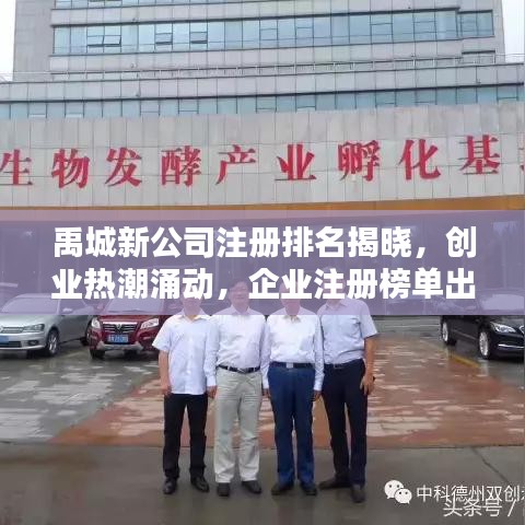 禹城新公司注册排名揭晓，创业热潮涌动，企业注册榜单出炉！