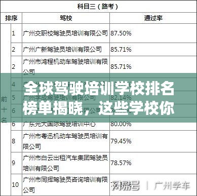 全球驾驶培训学校排名榜单揭晓，这些学校你一定不能错过！