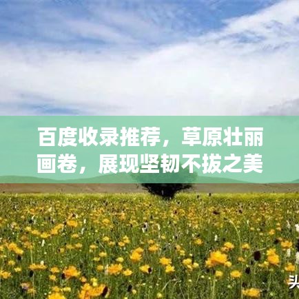 百度收录推荐，草原壮丽画卷，展现坚韧不拔之美