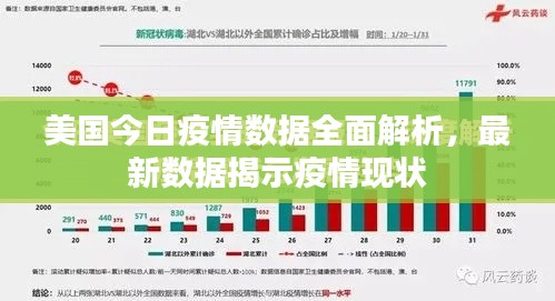美国今日疫情数据全面解析，最新数据揭示疫情现状