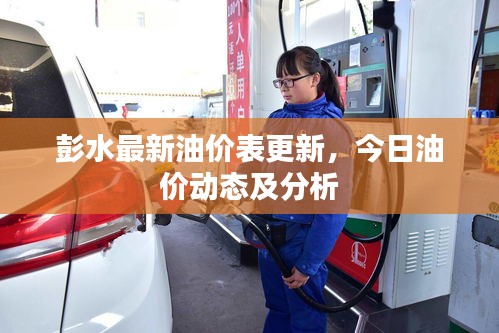 彭水最新油价表更新，今日油价动态及分析