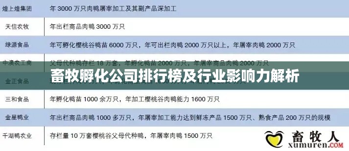 畜牧孵化公司排行榜及行业影响力解析