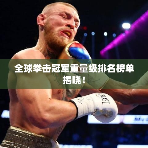 全球拳击冠军重量级排名榜单揭晓！