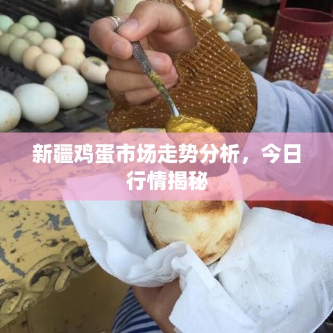 新疆鸡蛋市场走势分析，今日行情揭秘