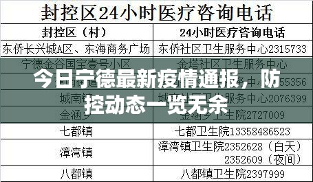 今日宁德最新疫情通报，防控动态一览无余