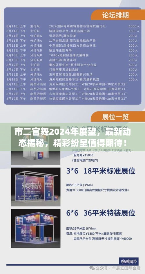 市二宫舞2024年展望，最新动态揭秘，精彩纷呈值得期待！