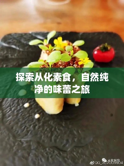 探索从化素食，自然纯净的味蕾之旅