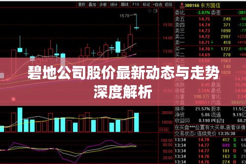 碧地公司股价最新动态与走势深度解析