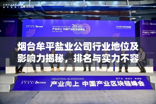 烟台牟平盐业公司行业地位及影响力揭秘，排名与实力不容小觑