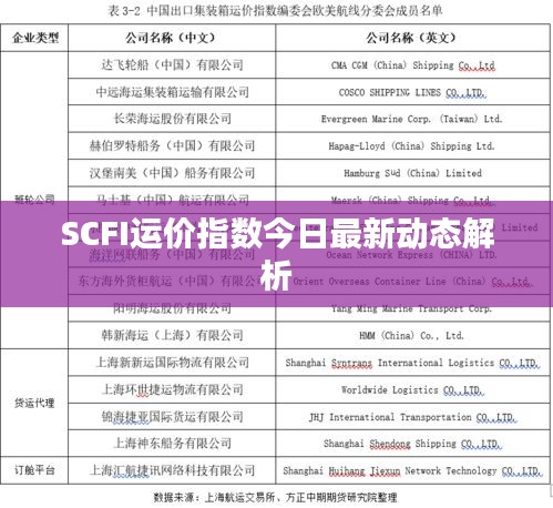 SCFI运价指数今日最新动态解析