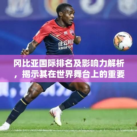冈比亚国际排名及影响力解析，揭示其在世界舞台上的重要地位