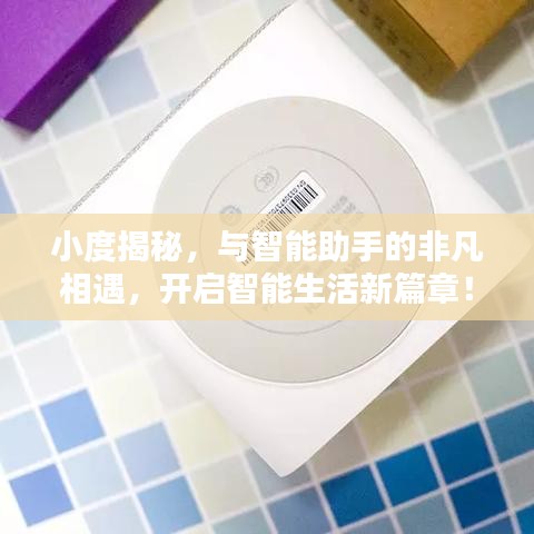 小度揭秘，与智能助手的非凡相遇，开启智能生活新篇章！