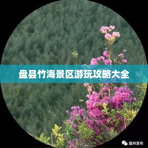盘县竹海景区游玩攻略大全