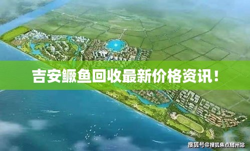 吉安鳜鱼回收最新价格资讯！