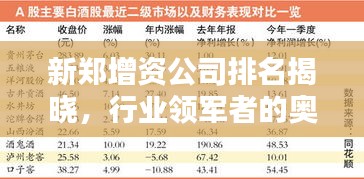新郑增资公司排名揭晓，行业领军者的奥秘大揭秘！