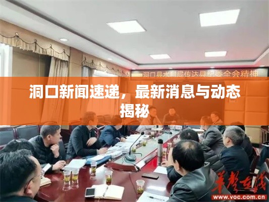 洞口新闻速递，最新消息与动态揭秘