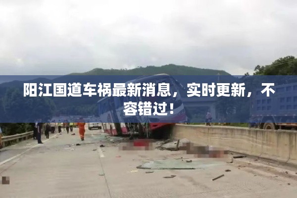 阳江国道车祸最新消息，实时更新，不容错过！