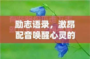 励志语录，激昂配音唤醒心灵的力量，激发无限潜能！