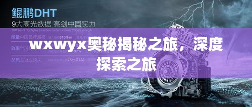 wxwyx奥秘揭秘之旅，深度探索之旅
