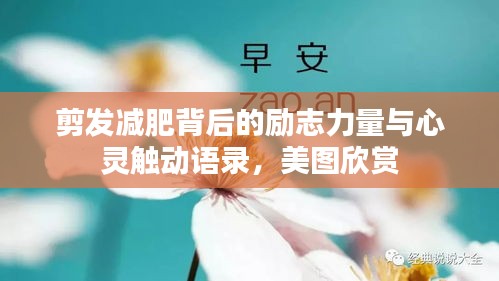 剪发减肥背后的励志力量与心灵触动语录，美图欣赏