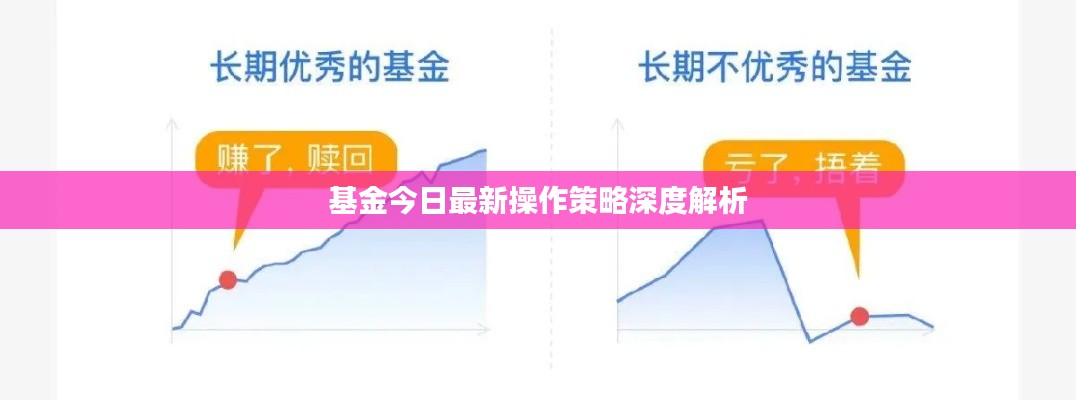 基金今日最新操作策略深度解析