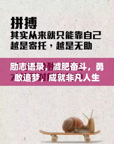 择善而从