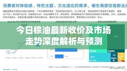 今日棕油最新收价及市场走势深度解析与预测