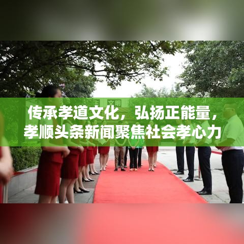 传承孝道文化，弘扬正能量，孝顺头条新闻聚焦社会孝心力量