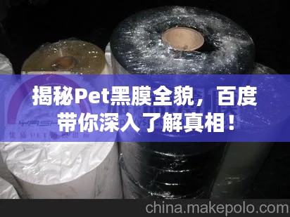 揭秘Pet黑膜全貌，百度带你深入了解真相！