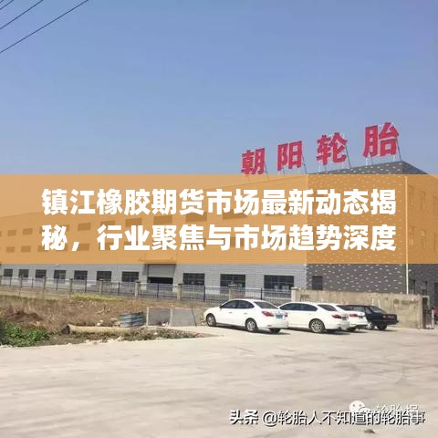 镇江橡胶期货市场最新动态揭秘，行业聚焦与市场趋势深度解析