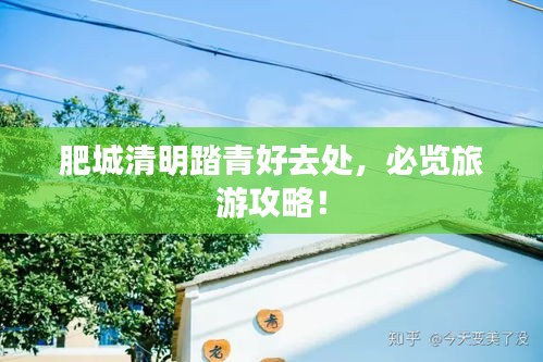 风流潇洒