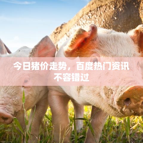 一石三鸟
