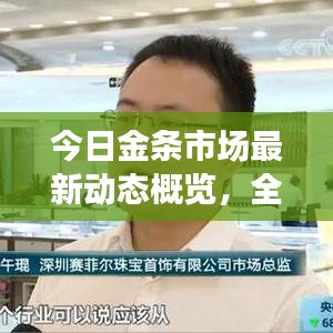 今日金条市场最新动态概览，全面解读市场变化
