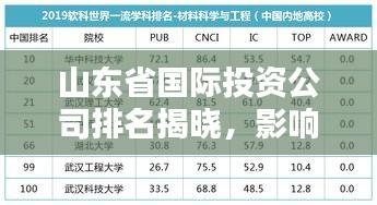 山东省国际投资公司排名揭晓，影响力深度解析