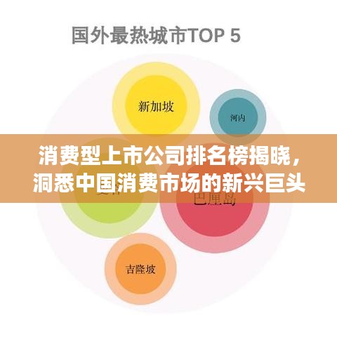 消费型上市公司排名榜揭晓，洞悉中国消费市场的新兴巨头